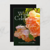 Save The Date Élégant Roses de pêche à la pêche orange (Devant / Derrière)