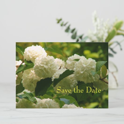 Save The Date Enregistrer la date (Debout devant)