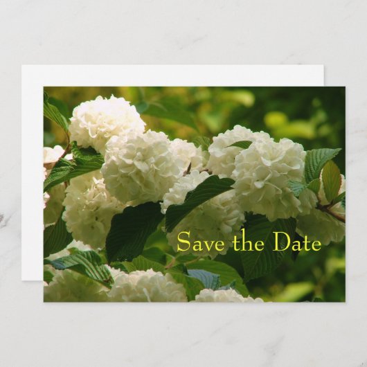 Save The Date Enregistrer la date (Devant / Derrière)