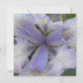 Save The Date Enregistrer la date Blue Iris 5x5 (Dos)