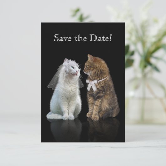 Save The Date Enregistrez la date de notre journée Purr-fect ! (Debout devant)