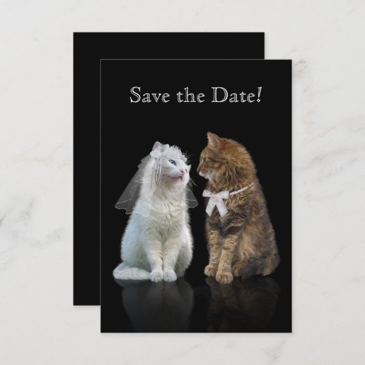 Save The Date Enregistrez la date de notre journée Purr-fect ! (Devant / Derrière)