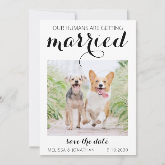 Save The Date Fiançailles Photo Animaux Modernes Chien Mariage S (Devant)