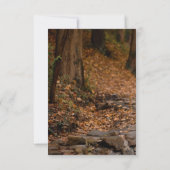 Save The Date Fiançailles photo Mariage de calligraphie Whimsica (Dos)