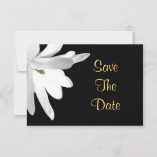 Save The Date Fleur blanche enregistrer la date