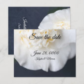 Save The Date Fleur de camélia blanc (Devant / Derrière)