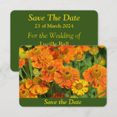 Save The Date Fleur de grande marguerite orange Jardin Surprise  (Devant / Derrière)