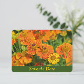 Save The Date Fleur de grande marguerite orange Jardin Surprise  (Debout devant)
