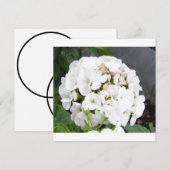 Save The Date Fleurs Blanches Étincelantes Mariage (Devant / Derrière)