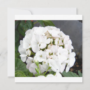 Save The Date Fleurs Blanches Étincelantes Mariage