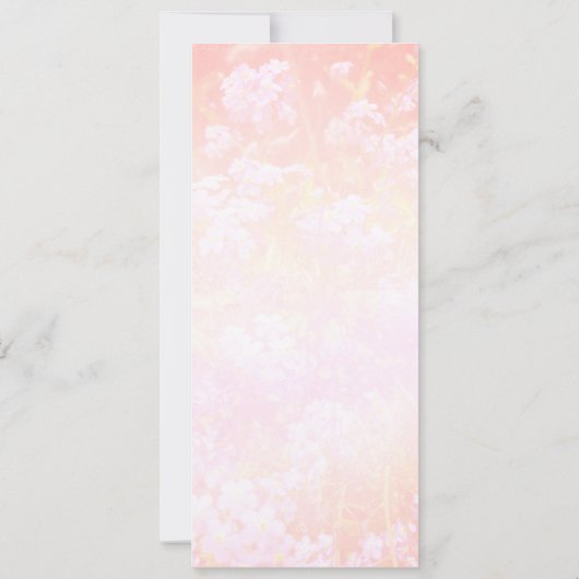 Save The Date Fleurs d'été sauvages (Dos)