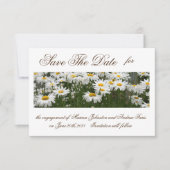 Save The Date Fleurs marguerites enregistrer l'invitation de dat (Devant)