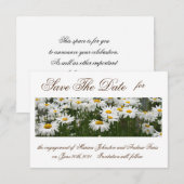 Save The Date Fleurs marguerites enregistrer l'invitation de dat (Devant / Derrière)