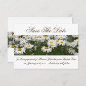Save The Date Fleurs marguerites enregistrer l'invitation de dat (Devant / Derrière)