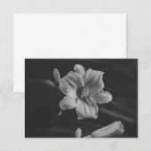 Save The Date Floral Noir (Devant / Derrière)