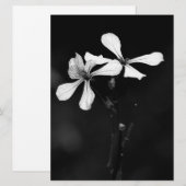 Save The Date floral noir et blanc minimal (Devant / Derrière)