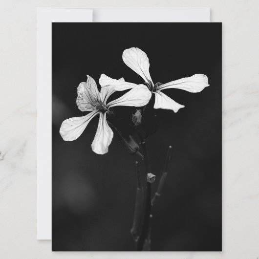 Save The Date floral noir et blanc minimal (Devant)
