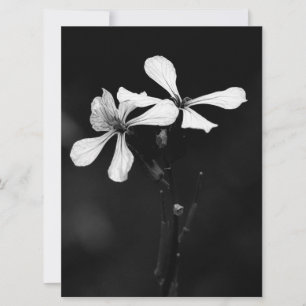 Save The Date floral noir et blanc minimal