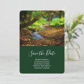 Save The Date Forest Creek Belle nature Paysage Photo (Debout devant)