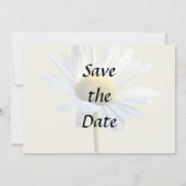 Save The Date Fournitures de mariage Daisy Shadow et Light (Dos)