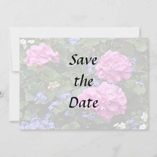 Save The Date Géraniums et Pervenche (Dos)