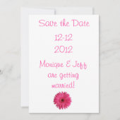 Save The Date Gerbera Daisy Enregistrer la date (Devant)
