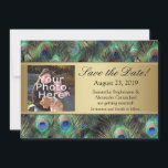 Save The Date Golden Peacock Feather Photo Enregistrer la date<br><div class="desc">Arrière - plan élégant et raffiné en plumes de paon dans les riches couleurs saturées de bleu royal, or de cuivre et vert émeraude turquoise. Le paon est un oiseau majestueux avec des plumes ornementales et il fait un bel affichage pour un mariage d'été ou toute occasion Les gradients métalliques...</div>