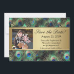 Save The Date Golden Peacock Feather Photo Enregistrer la date<br><div class="desc">Arrière - plan élégant et raffiné en plumes de paon dans les riches couleurs saturées de bleu royal, or de cuivre et vert émeraude turquoise. Le paon est un oiseau majestueux avec des plumes ornementales et il fait un bel affichage pour un mariage d'été ou toute occasion Les gradients métalliques...</div>
