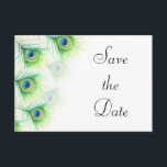 Save The Date Green Peacock Feathers Mariage Enregistrer la date<br><div class="desc">Un design peint à la main avec quelques belles plumes de paon que j'ai peintes en aquarelle et encres acryliques liquides en 2012. Correspondance d'éléments que vous souhaitez : com</div>