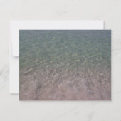 Save The Date Hibiscus De Mariage De Plage Tropicale Enregistrer (Dos)