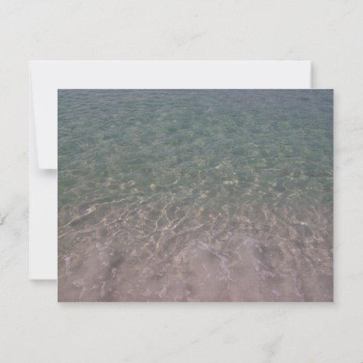 Save The Date Hibiscus De Mariage De Plage Tropicale Enregistrer (Dos)