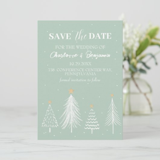Save The Date Hiver Noël Sage vert Enregistrer la date Mariage (Debout devant)