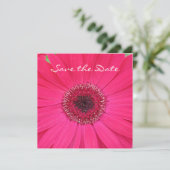 Save The Date Hot rose Gerbera Daisy Enregistrer la date Invitat (Debout devant)