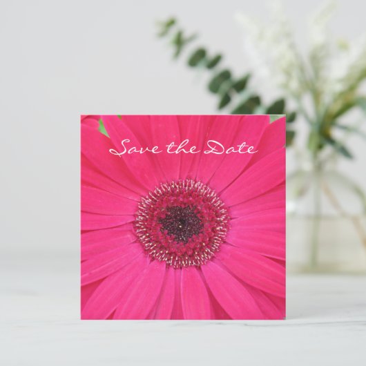 Save The Date Hot rose Gerbera Daisy Enregistrer la date Invitat (Debout devant)
