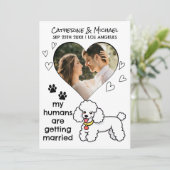 Save The Date Humains Se Marier Poodle Amoureux des chiens main  (Debout devant)