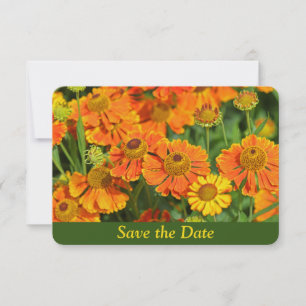 Save The Date Jardin de fleurs d'achillée sternutatoire orange S