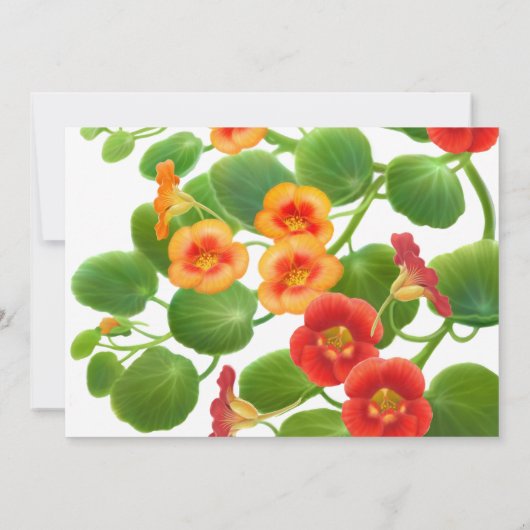 Save The Date Jardin floral de Nasturtium Enregistrer la date (Dos)