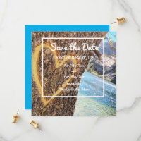 Lac Tahoe Blue Water Tree Heart Love