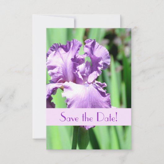 Save The Date L'annonce de sauvegarde de date de l'Iris Pourpre (Devant)