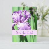 Save The Date L'annonce de sauvegarde de date de l'Iris Pourpre (Debout devant)