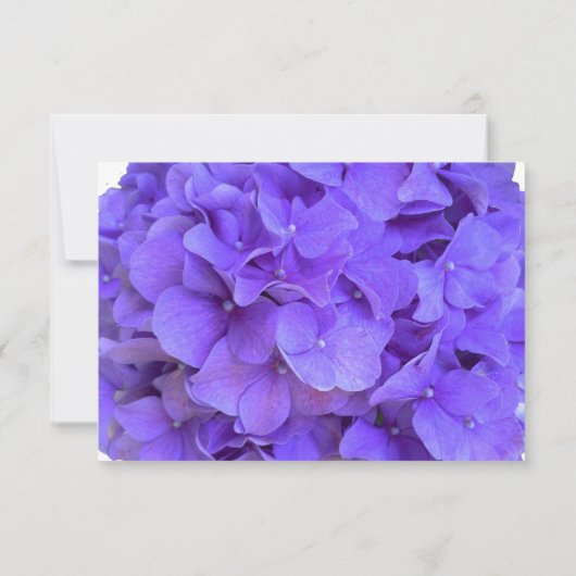 Save The Date Lavande violet Hydrangeas violet Fleurs RSVP (Dos)