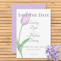 Lavender Tulip Solo Purple Moderne