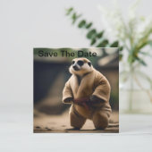 Save The Date Le puissant suricate : Défi de sumo, (Debout devant)