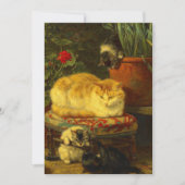 Save The Date Les chatons en jeu (Devant)