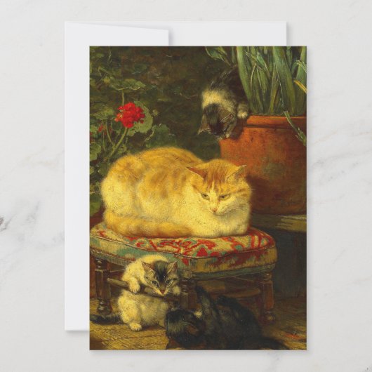 Save The Date Les chatons en jeu (Devant)