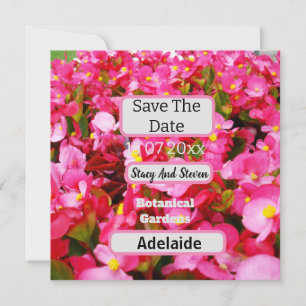 Save The Date Les Fleurs De Begonia Rose Chaud Sauvent La Date,