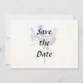 Save The Date Lily Péruvien Violet (Dos)
