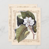 Save The Date Magnolia blanc Mariage sudiste Sauvegarder la date (Devant / Derrière)