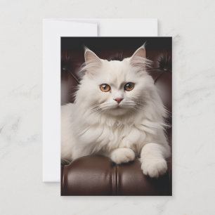 Save The Date Majestic white cat