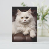 Save The Date Majestic white cat (Debout devant)